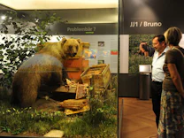 Braunbären: Schwester von „Problembär“ Bruno tötete Jogger in Norditalien