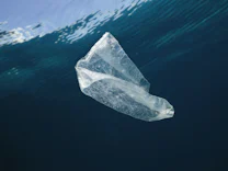 Umwelt: 170 Billionen Plastikteilchen schwimmen in den Meeren