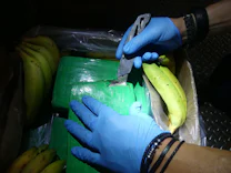 Kriminalität: Eine Tonne Kokain in Bananenkiste
