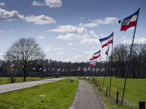 Niederlande: Sensationssieg für die Protest-Bauern