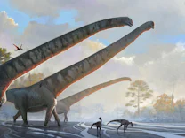 Bis zu 15 Meter lang: Der Dino mit dem längsten Hals