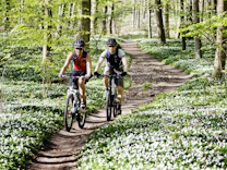 Sicherheit: Frühlings-Check fürs Fahrrad