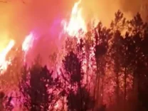 : Zahlreiche Waldbrände in Spanien