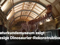 : Londoner Naturkundemuseum zeigt riesiges Dinosaurier-Skelett