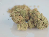 : Lauterbach: Cannabis-Legalisierung mit mehr Prävention