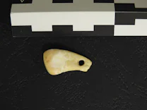 Archäologie: Genetische Fingerabdrücke aus der Steinzeit