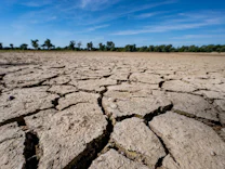 Klimawandel: Lebensfeindliche Hitze für zwei Milliarden Menschen