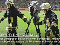 : Bienenschwarm auf Scheinwerfer und Kamera: Feuerwehr-Einsatz beim BVB