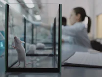 : Wann kommt der Ausstieg aus Tierversuchen bei Pharma-Konzern Merck?