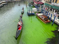 Venedig: Mysteriöser grüner Schimmer im Canal Grande