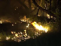 : Waldbrand bei Jüterbog – Löscheinsatz aus der Luft
