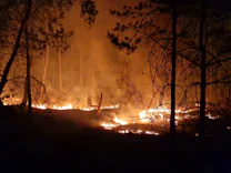 Jüterbog: Feuerwehr kämpft weiter gegen Waldbrand auf Ex-Truppenübungsplatz