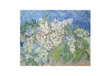 Ausstellung Vincent van Gogh: Wärmende Seelenlandschaften