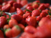 : Pestizid-Rückstände in Erdbeeren: Bundesinstitut gibt Entwarnung