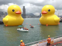 : Doppelt hält besser: Gigantische Kunst in Hongkong