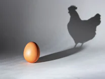 Evolution: Henne oder Ei?