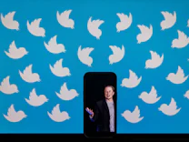 Elon Musk und Twitter: Der hat doch keinen Vogel