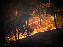 Südeuropa: Waldbrände in vielen Regionen Griechenlands ausgebrochen