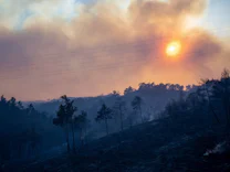 Waldbrände auf Rhodos: „Auf die Hilfe der Regierung zu warten, können wir uns nicht leisten“