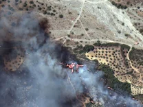 Waldbrände: Ende der Hitze in Griechenland naht – Feuer toben weiter