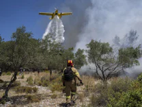 Griechenland: Löschflugzeug abgestürzt – neuer Brand auf Rhodos