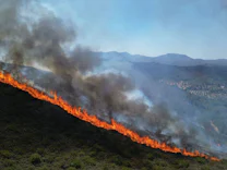 Waldbrände: Winde fachen Feuer in Griechenland weiter an
